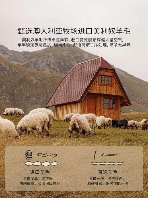 佳丽斯子母被二合一拉链款四季通用100蚕丝羊毛加厚保暖被子被芯 商品图7