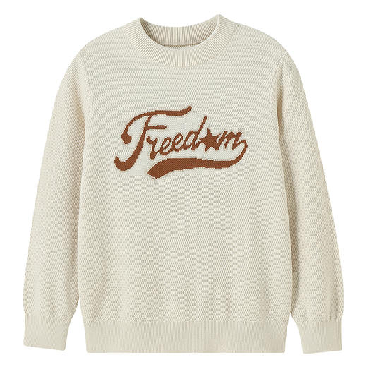 【实体店同款】男童圆领棉线衫冬季新款安奈儿童装AB544032 商品图5