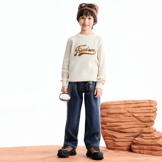 【实体店同款】男童圆领棉线衫冬季新款安奈儿童装AB544032 商品图3