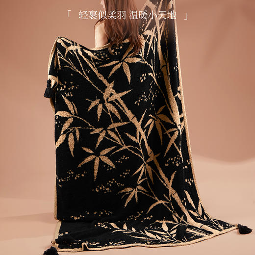 【故宫家居】竹报平安半边绒毛毯博物馆文创毯子新婚结婚中秋礼物 商品图3