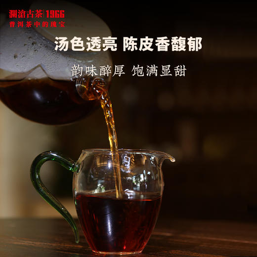 澜沧古茶2016年红柑陈皮普洱熟茶壶泡茶方便好喝香甜袋泡滤泡茶包 商品图3