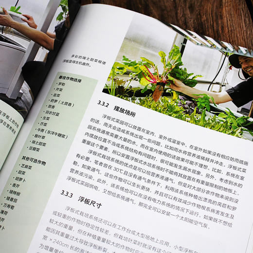 无土栽培安全蔬菜全程图解 商品图5