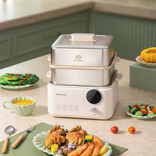 大宇多功能电蒸锅DYZL-12L35【HSZQ5.0】 商品图1