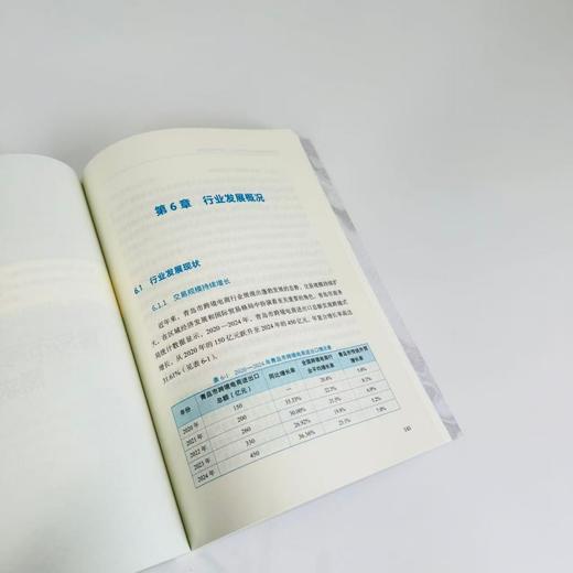 青岛市跨境电商行业发展与人才需求战略研究 政府中高院校企业研究政策产业教育人力资源机制调整数字化产业经管书籍 商品图4