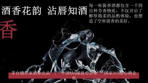 贵王府53%VOL酱香型白酒6支装500ml*6 商品图4