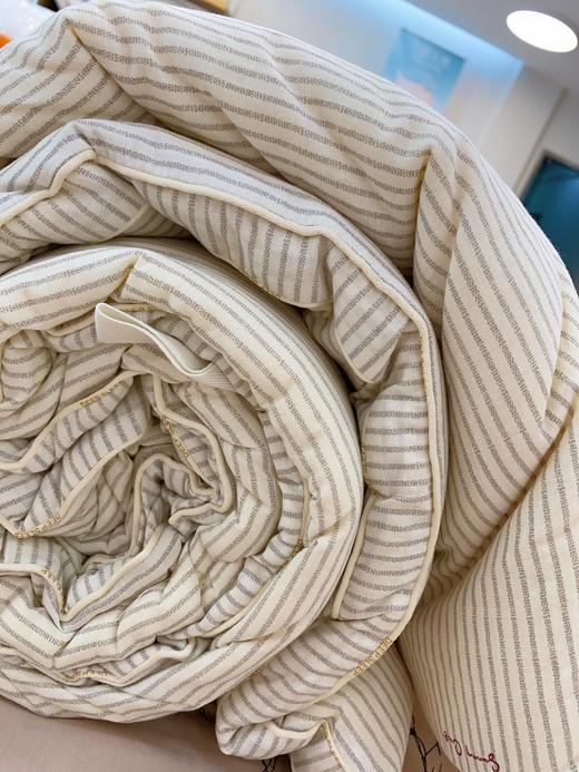 松植屋秋冬棉小豆大豆单人被子学生宿舍冬季被芯A类母婴级纯棉面料100%纯棉亲肤透气 商品图12