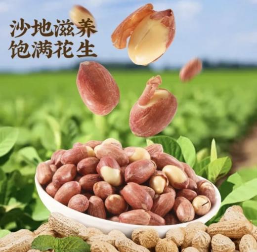 🌿养生党狂喜❗️30包仅19.9‼️【五香黄芪党参烤花生】花生颗颗饱满🤘口感绝绝子👏低温烘脆💥药食同源💕 🎯无论是下酒、当零食还是做配菜，都超级棒💥万能搭子冲🔥 商品图2