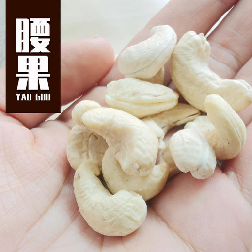腰果仁 原味（生）生态种植腰果  500克/罐【京东快递送货上门】 商品图1