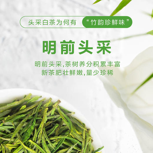 2026新茶 春贡·头采安吉白茶礼茶 茶叶白富美90g（3罐*30g) 商品图2