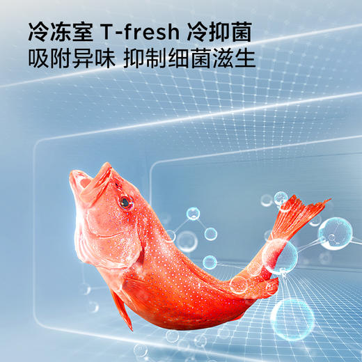 【新品上市】TCL 小清柠480升十字对开四开门超窄小户型大容量双净味深冷速冻电冰箱 R480V7-U1 商品图7