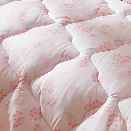 LOVO乐蜗XS NT-  洋洋繁花纤维春秋被  220*240 商品图3