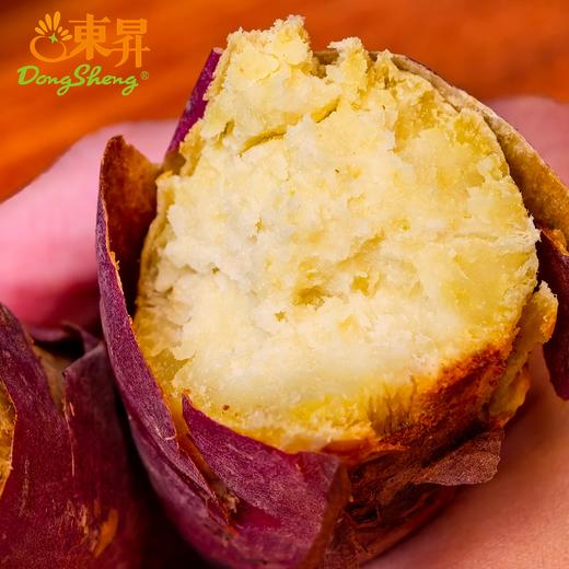 东升1号蜜薯 中大果3斤/10斤 黄心蜜薯栗粉香甜广州发货 商品图1