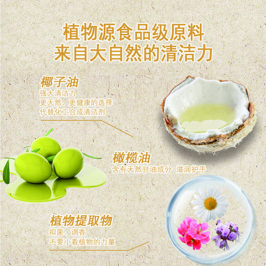 女性内衣洗衣液 乐活田园250ml/瓶【京东快递送货上门】 商品图3