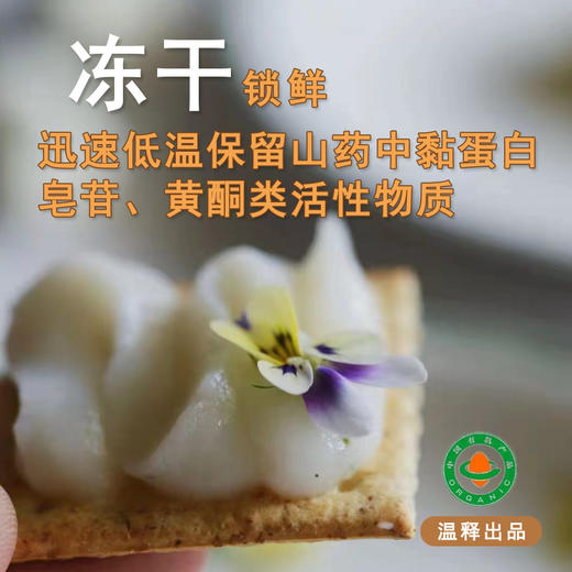 有机铁棍山药冻干粉 冻干工艺 (18克×8条)/盒【京东快递送货上门】 商品图4