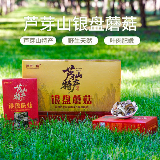 正宗山西宁武管涔山特产银盘蘑菇野生蘑菇食用菌类煲汤炒菜家用送礼礼盒装 商品图2