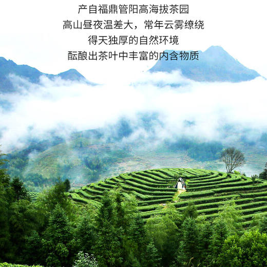 T9 锦绣如意茗茶礼盒（88g）【HSZQ5.0】 商品图1