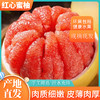 新鲜现摘红蜜柚红心柚子新鲜当季水果现摘送礼 商品缩略图0