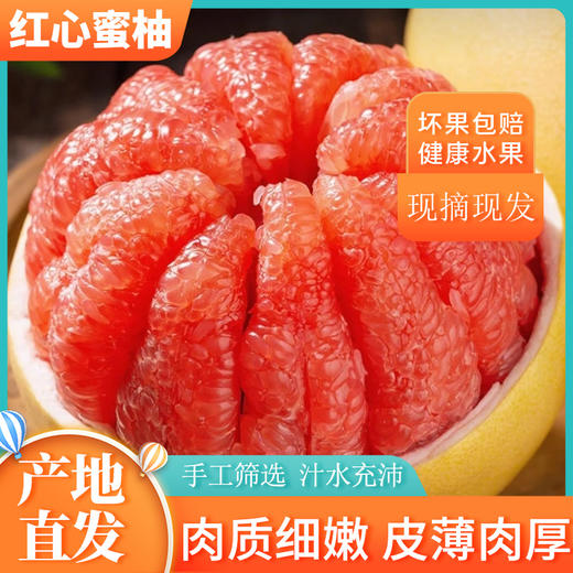 新鲜现摘红蜜柚红心柚子新鲜当季水果现摘送礼 商品图0