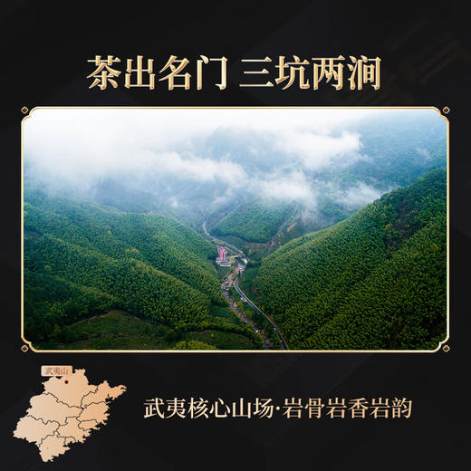 岩语 正山堂 三两骨气 岩语·三坑两涧岩茶（乌龙茶61g）【HSZQ20.0】 商品图1
