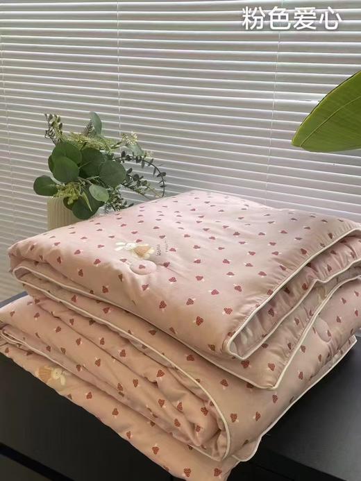 2025秋冬新款· 全棉大豆春秋被 商品图1