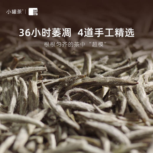 小罐茶 金罐20罐装白毫银针茶（20x4g）【HSZQ10.0】 商品图3