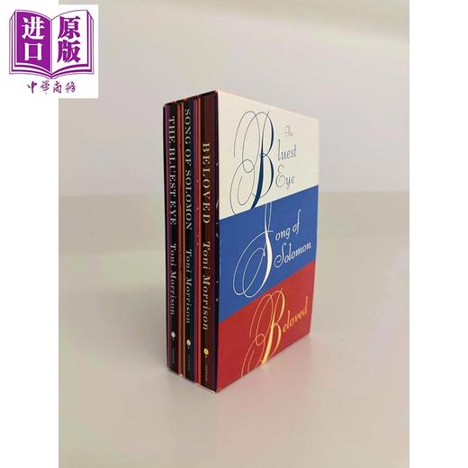 【中商原版】托妮莫里森作品套装 最蓝的眼睛 所罗门之歌 宠儿 Toni Morrison Box Set 英文原版 Toni Morrison 商品图3