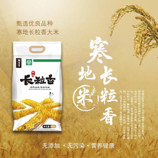 粮佰年绿色长粒香大米10kg
（扶贫助农产品） 商品图4