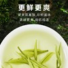 2026新茶 春贡·头采安吉白茶礼茶 茶叶白富美90g（3罐*30g) 商品缩略图5