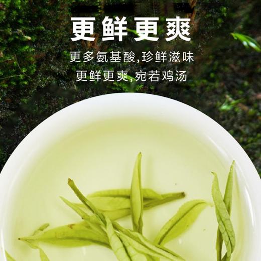2026新茶 春贡·头采安吉白茶礼茶 茶叶白富美90g（3罐*30g) 商品图5