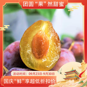 【新疆法兰西西梅】顺丰/京东包邮 放软吃 果肉细腻爽滑 香甜多汁 紫色外衣 琥珀果肉 香味浓郁 4种规格任选