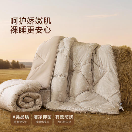 水星家纺 澳洲卷毛羊毛四季被春秋被冬被二合一被 商品图5