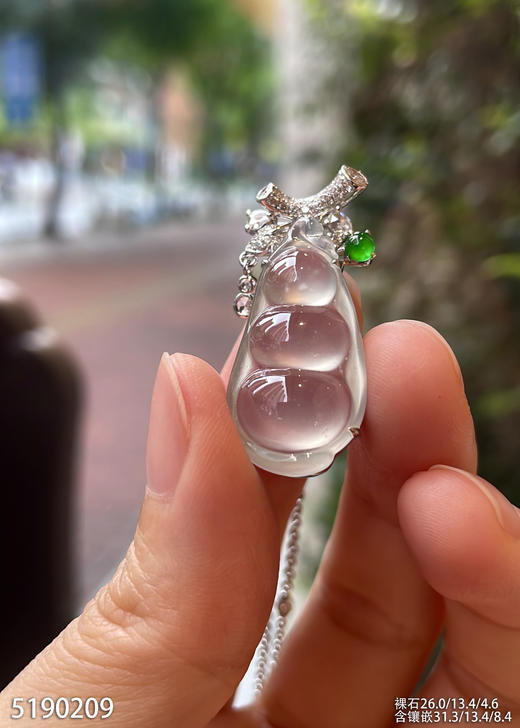 5190209，福豆吊坠。具体价格微信咨询 商品图3