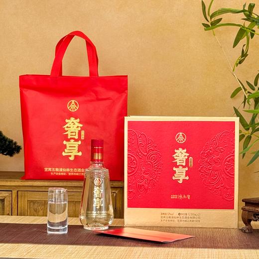 顺丰发货！【五粮液奢享·大师版双支装】52°浓香型白酒，四大白酒大师力推高端系列，500ml*2瓶/盒 商品图2