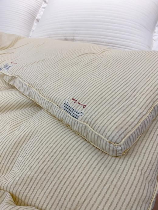 松植屋秋冬棉小豆大豆单人被子学生宿舍冬季被芯A类母婴级纯棉面料100%纯棉亲肤透气 商品图11