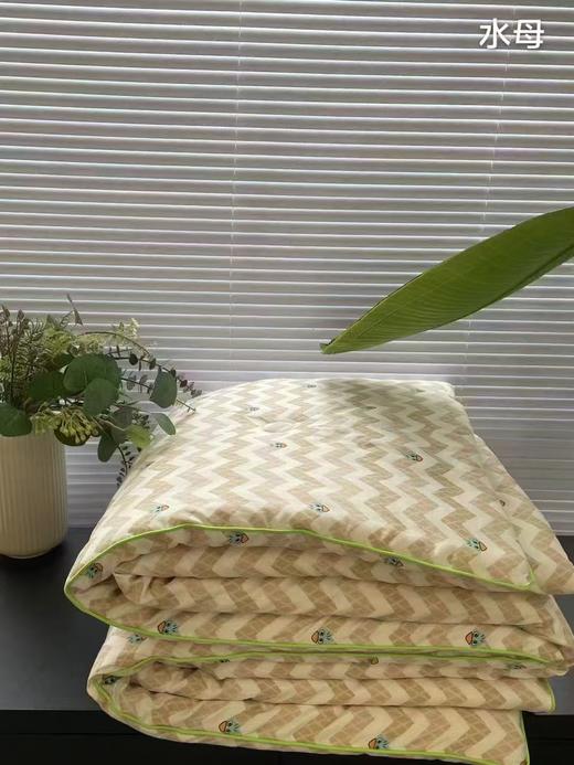 2025秋冬新款· 全棉大豆春秋被 商品图3