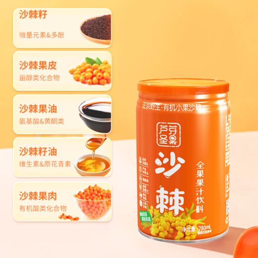 沙棘全果果汁饮料山西特产沙棘汁野生沙棘压榨原浆风味饮品罐装整箱 商品图6