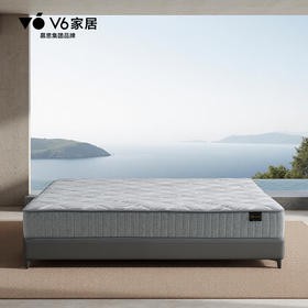 V6家居 MFA1-036 孝心垫3.0