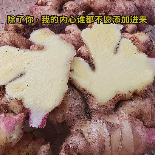 合作产品/ 云南生态小黄姜 商品图2