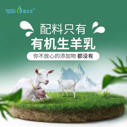 草木羊 有机纯羊成人奶粉600g（购满358元参与：1元报名送358元乳铁蛋白） 商品图3