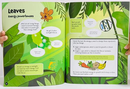 【赠音频】What matters most? 谁才是主角全6册 漫画百科绘本 商品图1