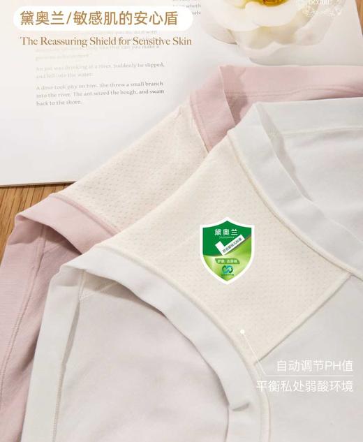 HYY-61172 【1条】80支澳棉纯色简约女士内裤 商品图4