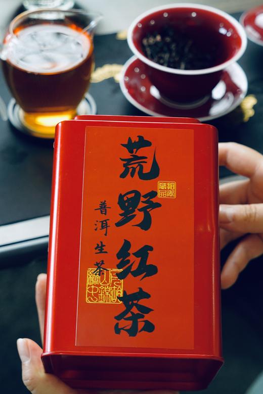 秘境馈赠 | 2025易武荒野红茶·国有林珍稀山韵 商品图0