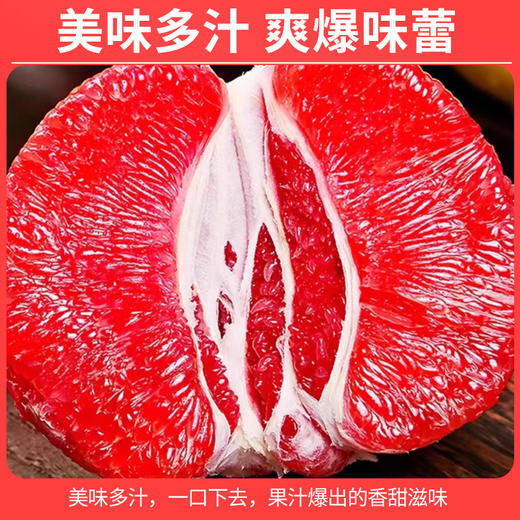 新鲜现摘红蜜柚红心柚子新鲜当季水果现摘送礼 商品图3