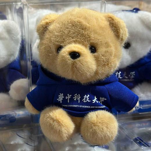 华科大毛绒卫衣纪念小熊 商品图13