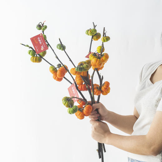 【万事如意小南瓜真果花材】 打造红红火火家居氛围 搬家必备 商品图0