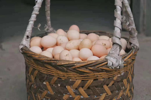 （预售）天台山散养土鸡蛋🥚 商品图1