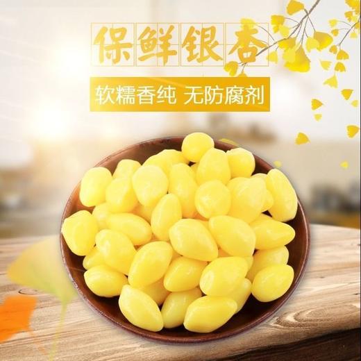 银杏果新货新鲜银杏仁白果仁真空保鲜白果去壳开心白果米 商品图2