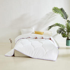 恐龙 B1 呼吸大自然 大豆柔丝四季被-DS 150*210