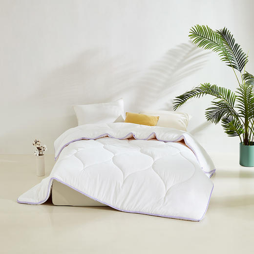 恐龙 B1 呼吸大自然 大豆柔丝四季被-DS 150*210 商品图0