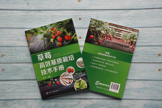 草莓高效基质栽培技术手册 商品图1